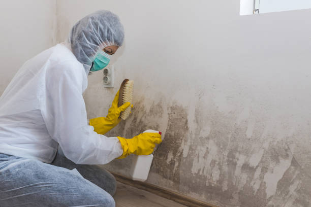 Best Mold Remediation for Healthcare Facilities  in Sand Lake, MI