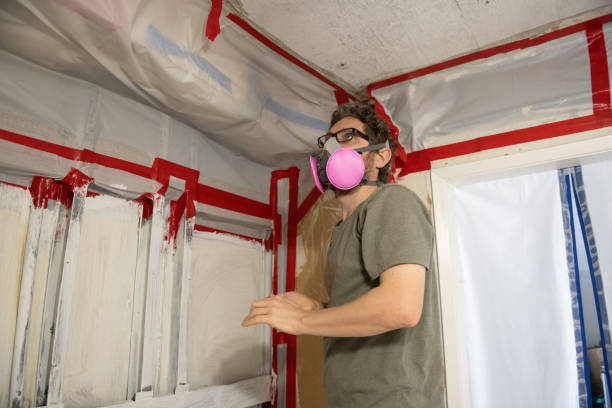 Best Commercial Mold Inspection  in Sand Lake, MI