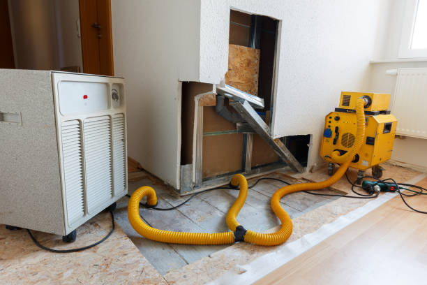 Best Comprehensive Air Testing for Mold Contaminants  in Sand Lake, MI