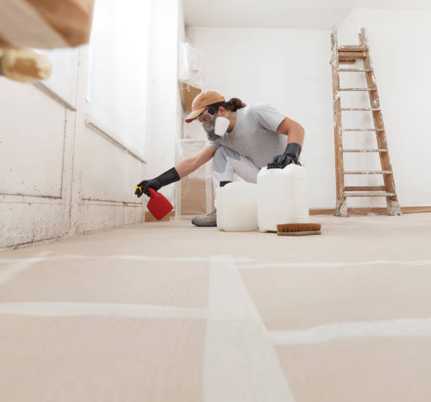 Best Basement Mold Removal  in Sand Lake, MI